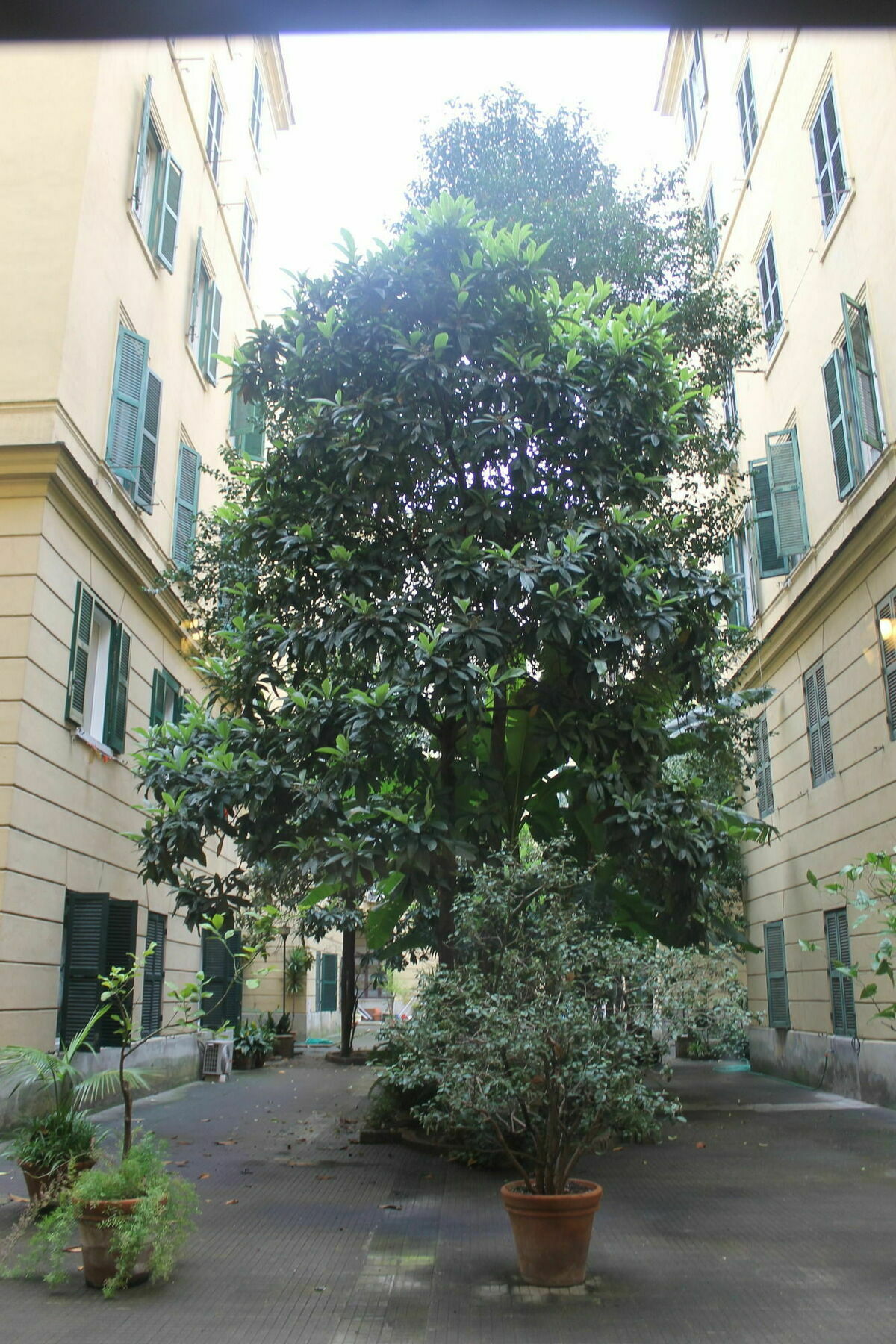 Couette-café Rovati Rome